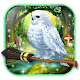 Download 3D Fantasy Owl Theme For PC Windows and Mac 1.1.3