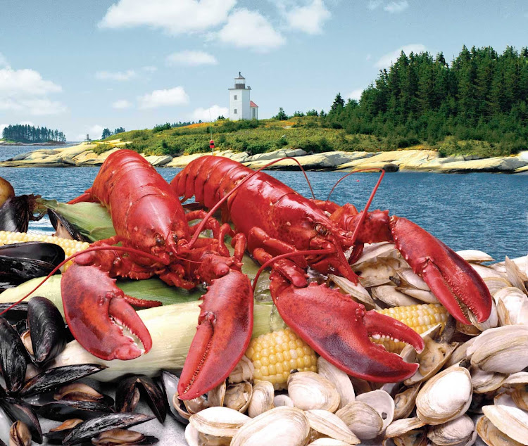 American Cruise Lines' special Lobster Cruises in Maine and other parts of New England give you access to mouthwatering lobster based dishes.