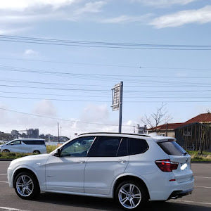 X3 F25