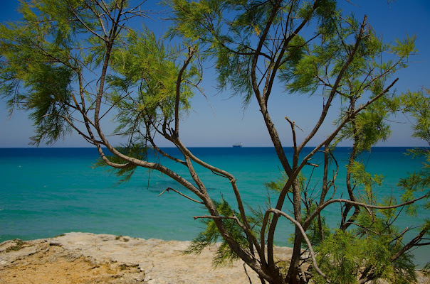 Verde mare di Gian Piero Bacchetta