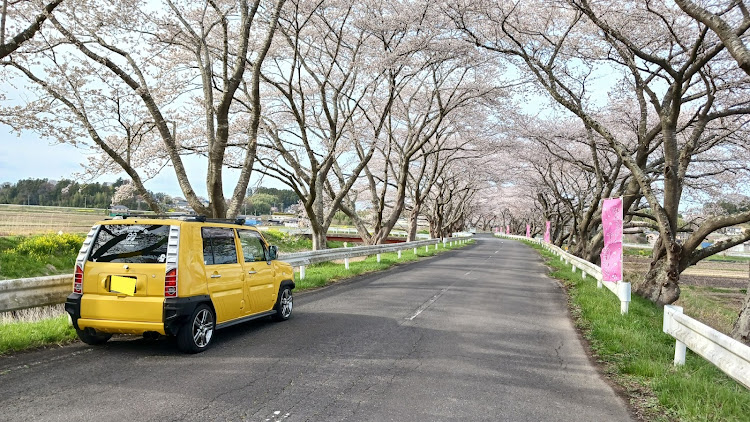ネイキッドの桜とコラボ・宮城・カスタム・サクラと愛車・桜に関するカスタム事例の投稿画像7枚目