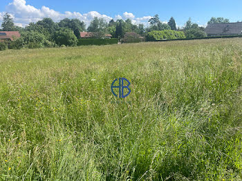 terrain à Saint-Siméon-de-Bressieux (38)