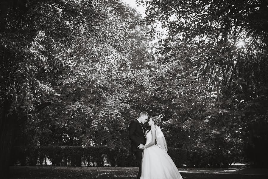 Wedding photographer Veronika Bendik (veronikabendik3). Photo of 24 May 2016