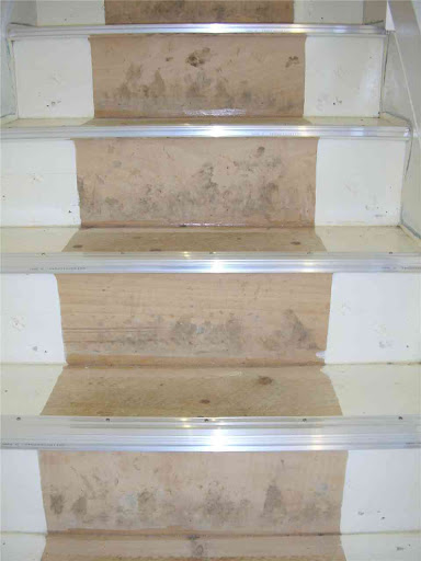 Quickstep Prospective