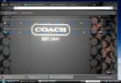 Coach Theme