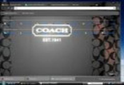 Coach Theme chrome extension