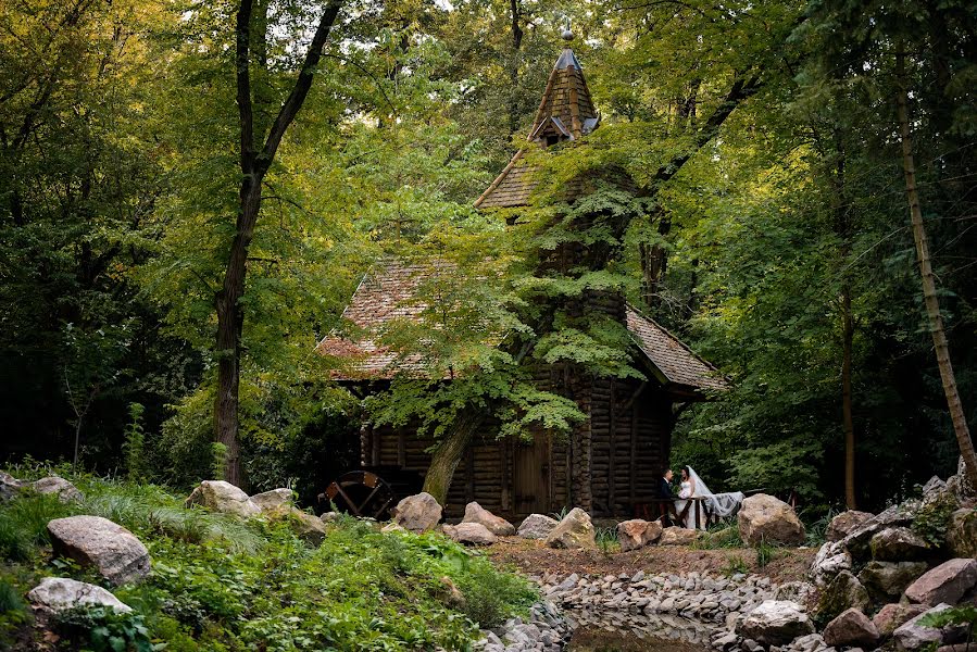 Pulmafotograaf Torjay Attila (torjayattila). Foto tehtud 17 september 2023