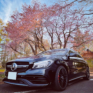 CLA CLA45