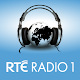 RTÉ Radio Documentary on One Download on Windows