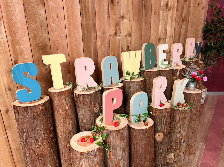 rihannaさんが投稿したGWの思い出・いちご狩り・スポーツカー女子・BMW・i8に関するカスタム事例の投稿画像6枚目