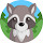 Raccoon HD Wallpapers - Custom New Tab