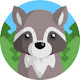 Raccoon HD Wallpapers - Custom New Tab