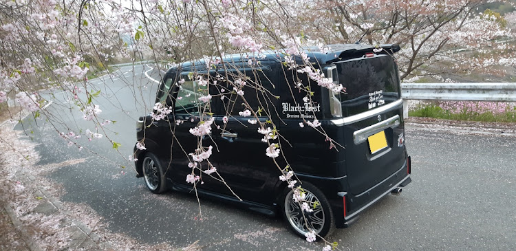 スペーシアカスタムのたまには仕事ネタでも……笑・桜と愛車・桜とコラボ・刺身特注はいりましたー!!・通勤片道1時間。に関するカスタム事例の投稿画像3枚目