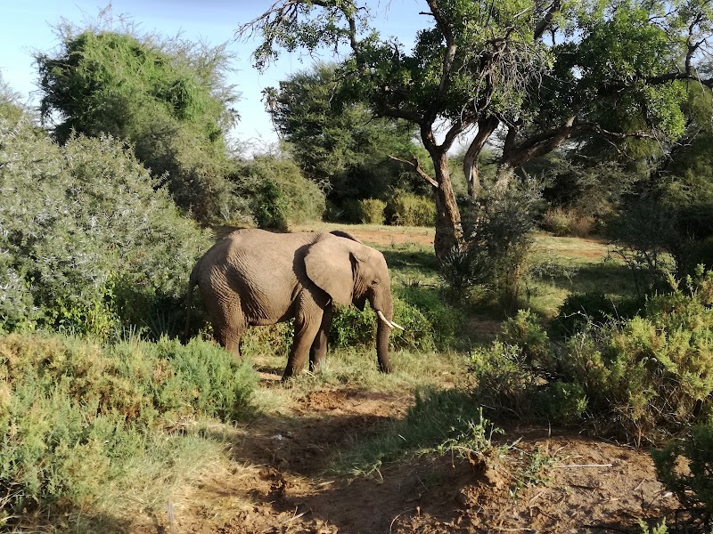 POBLADO SAMBURU. ULTIMA TARDE EN LA RESERVA. - Un poquito de Kenia: Lagos Naivasha y Nakuru, Samburu y Masai Mara (17)