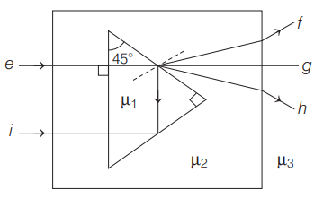 Prism