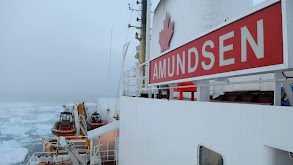 CCGS Amundsen thumbnail