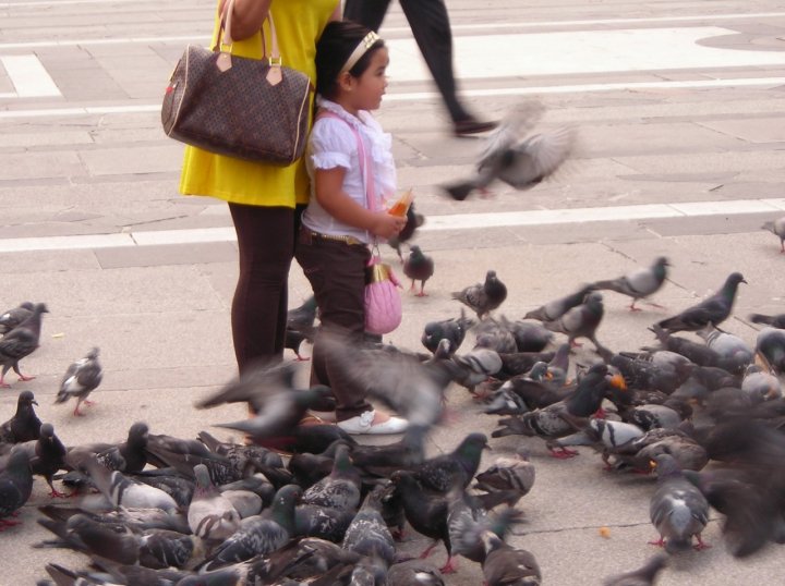 Milano vola di brubio