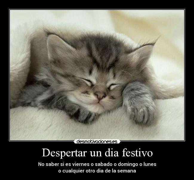 Festivo_despertar_xdiegob_diego4214.jpg