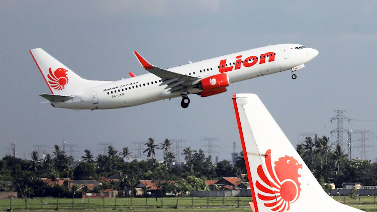 Photo of the Lion Boeing 737