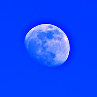 Blue Moon di 