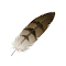 Item logo image for Feather AI