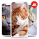 Best Cat Wallpapers Offline icon