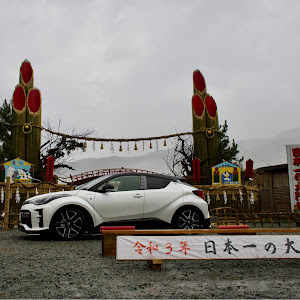 C-HR ZYX11