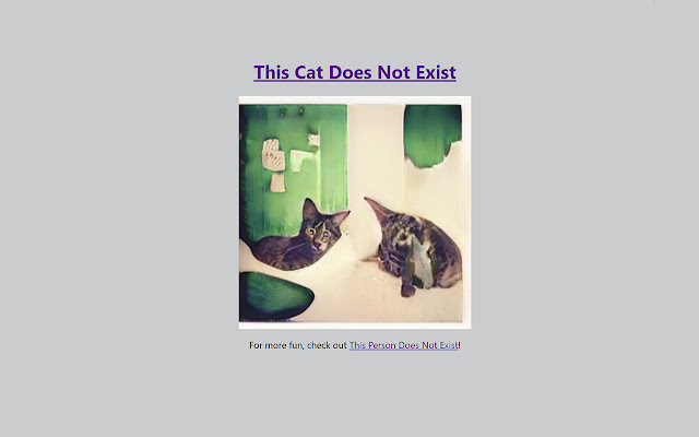 This Cat Does Not Exist New Tab