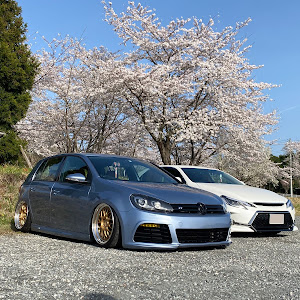 ゴルフ MK6