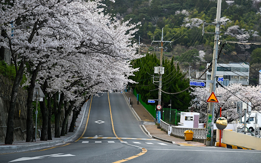 flower season street screenshot 1