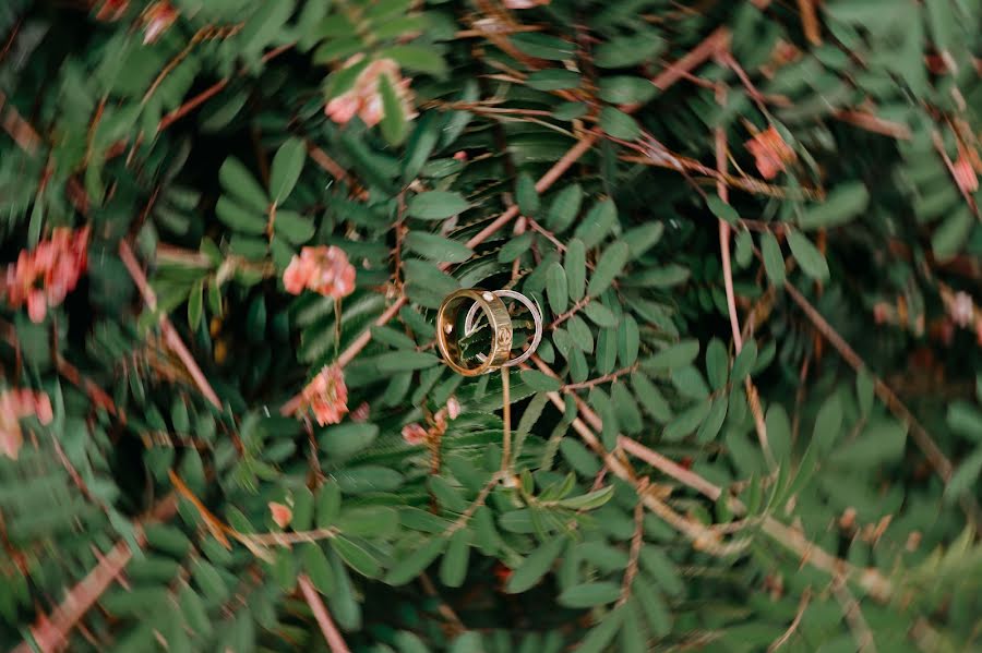 Fotógrafo de casamento Ngoc Anh Pham (11gphotography). Foto de 14 de fevereiro