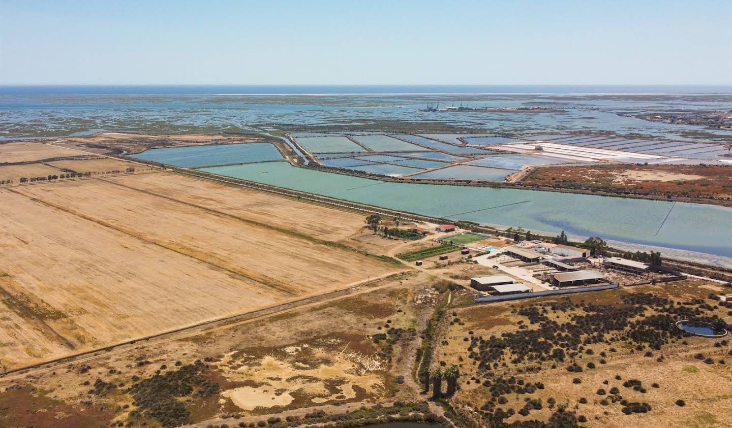 Corps de ferme Faro