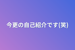 今更の自己紹介です(笑)