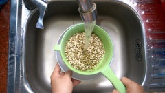 Đậu xanh và rong biển rửa sạch qua 3 - 4 lần nước lạnh và ngâm trong 1 tiếng.