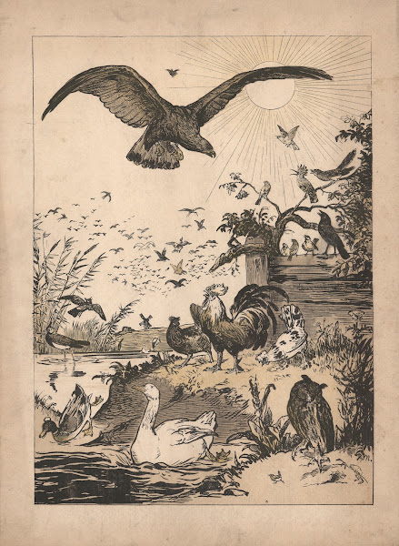 The election of the king of birds 1915