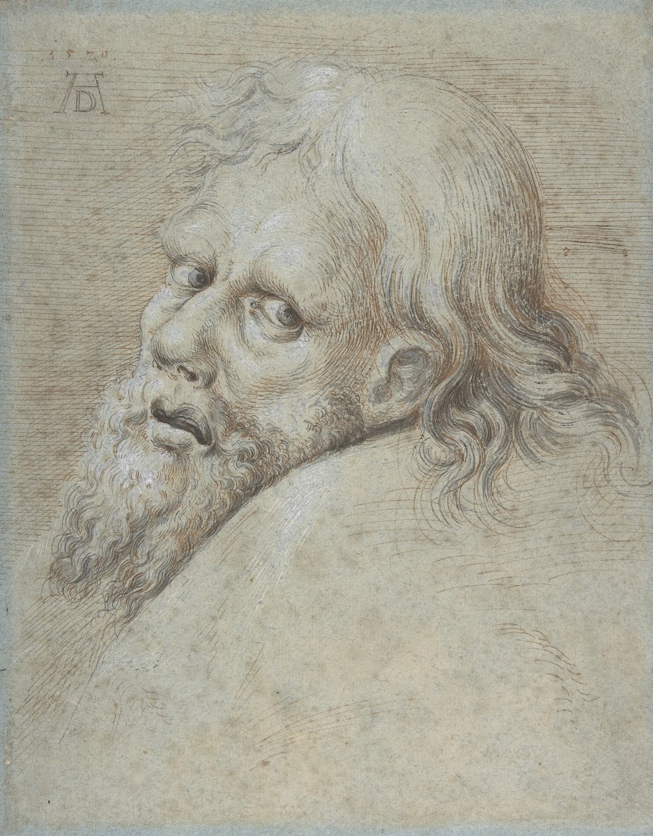 Head of a Bearded Man 1579