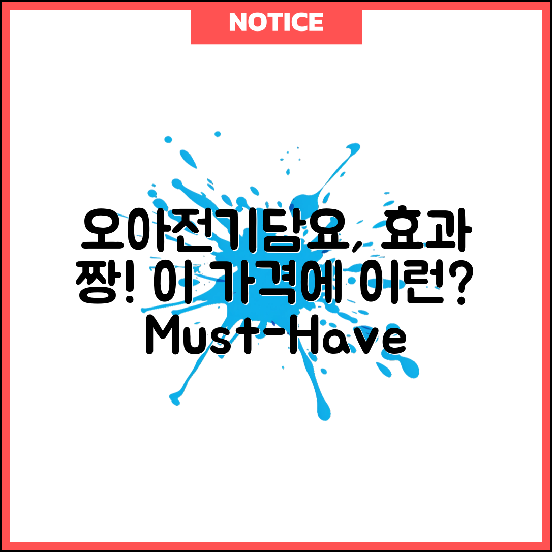 “오아전기담요, 이 가격에 이런 효과라니!”