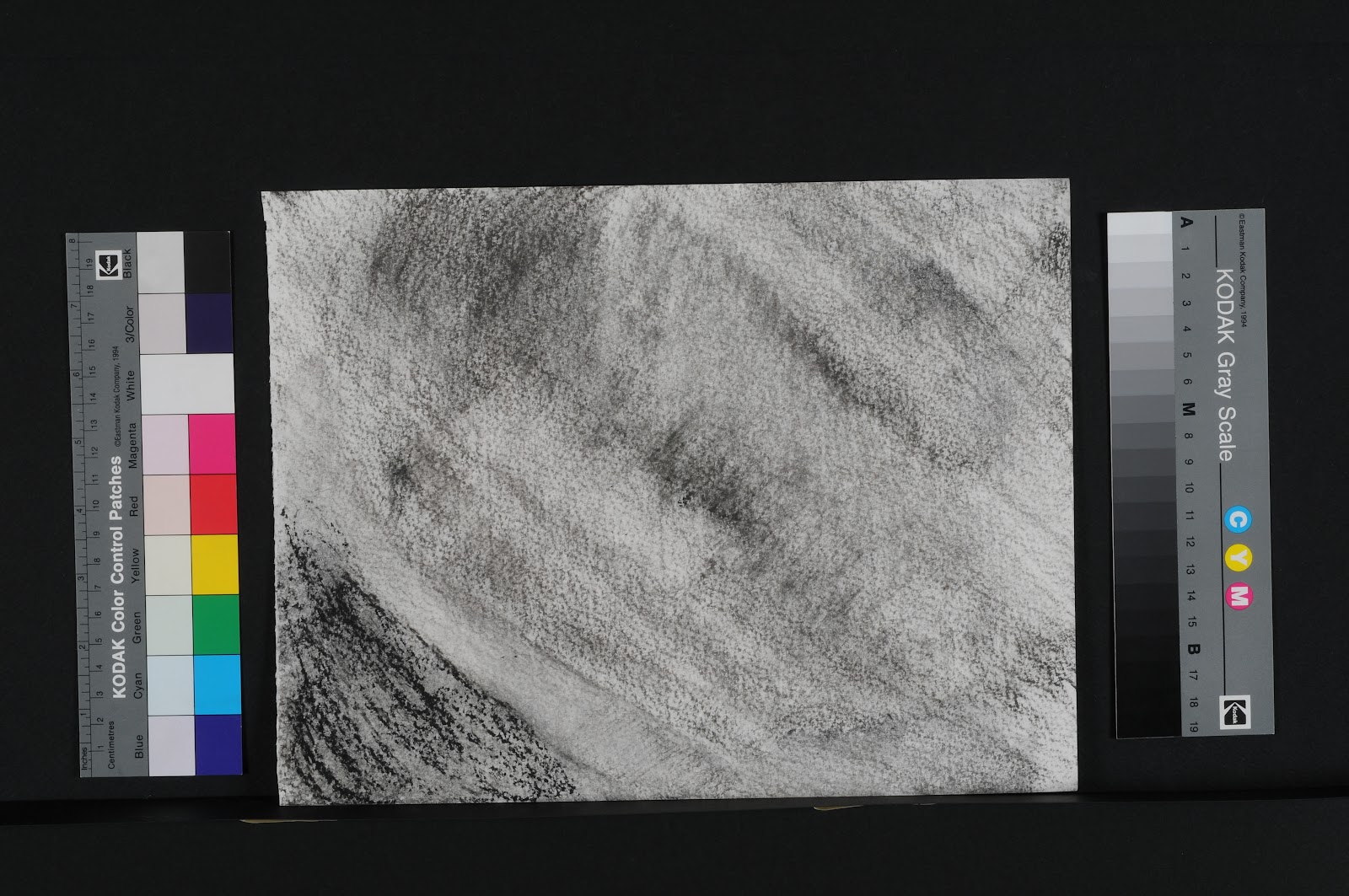charcoal drawings
