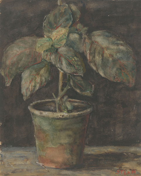 Een potplant 1844   1909
