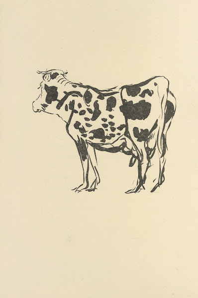 Histoires naturelles Pl 16 1922