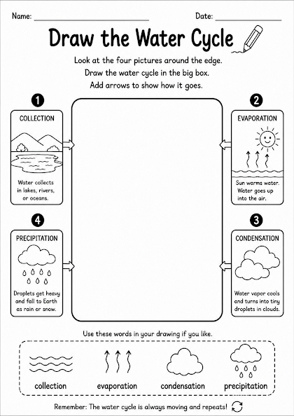 Draw the Water Cycle