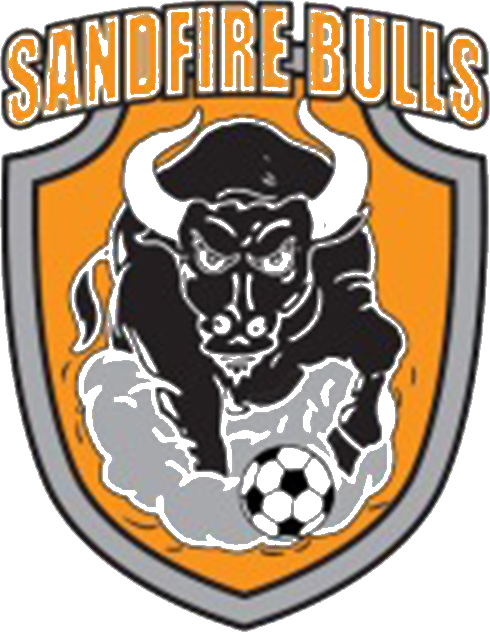 Sand Fire Bulls logo