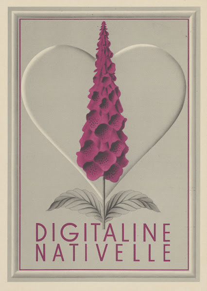 Digitaline Nativelle 1910 1950