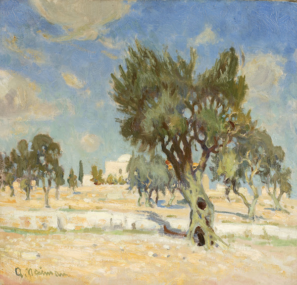 Olive trees near Jerusalem circa 1925