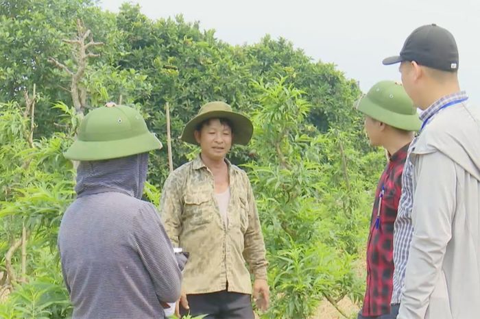 Minh bạch, đảm bảo tối đa quyền lợi người dân trong GPMB - Đài Phát thanh và truyền hình Hà Nội