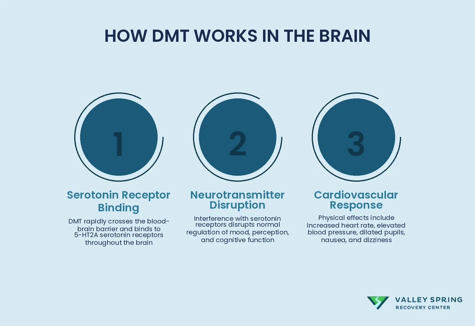 Overview Of Dmt'S Mechanism Of Action On Brain Receptors And Resulting Physical Effects