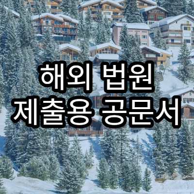 해외 법원 제출용 공문서 발급 시 주의사항