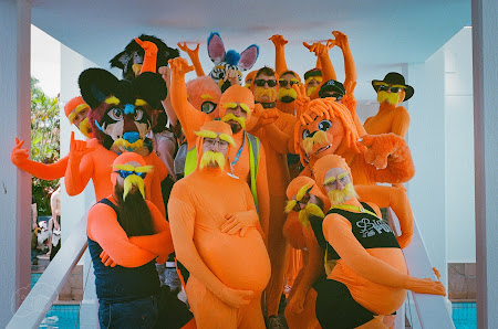 furdu-21.jpg