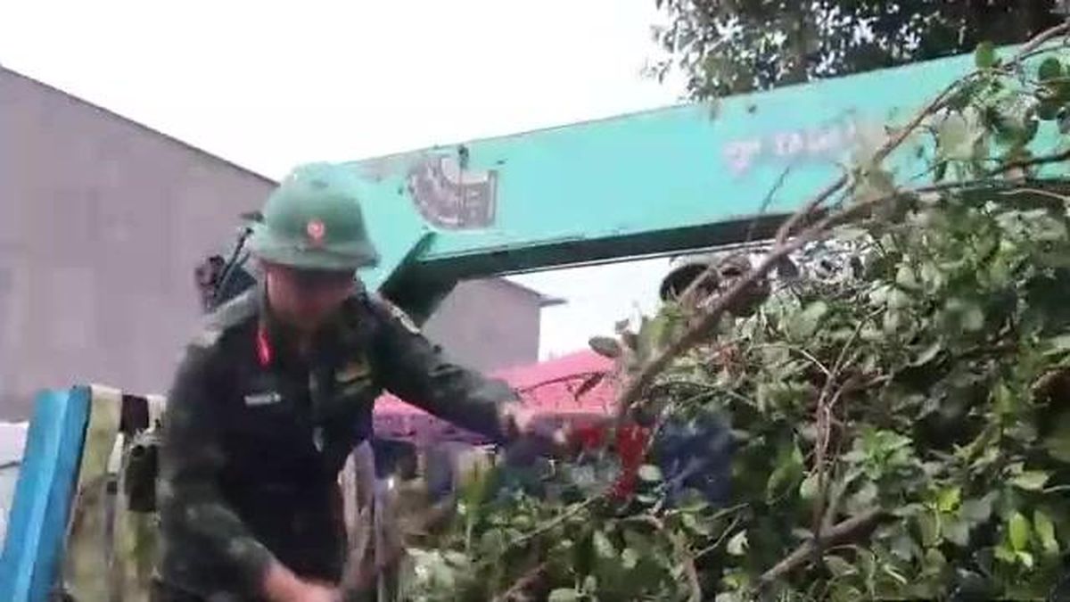Dông lốc làm đổ ngã nhiều cây xanh và sập nhà ở Đồng Tháp - Báo VietnamPlus