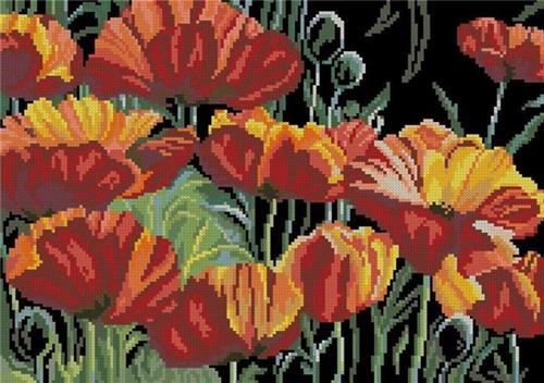 CMP 1778 Gorgeous Poppies
